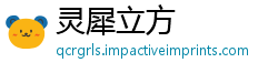 灵犀立方